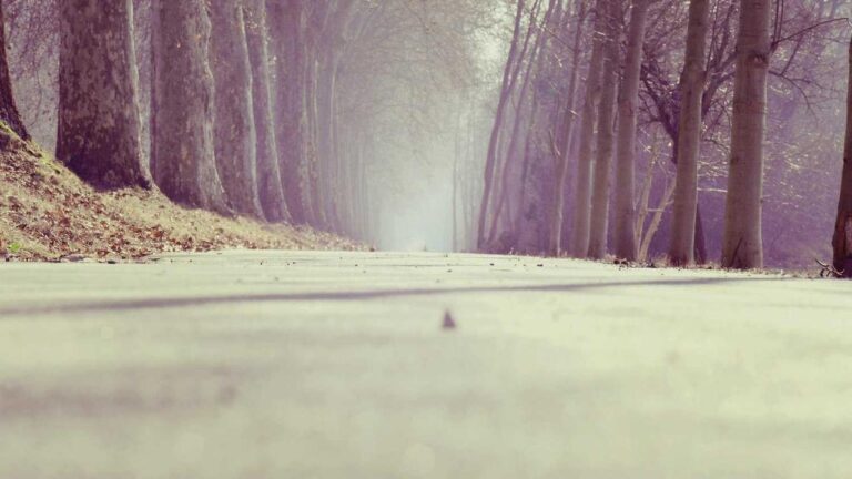 Why Do Players Need A 99Exch Backup Link For Login Access?