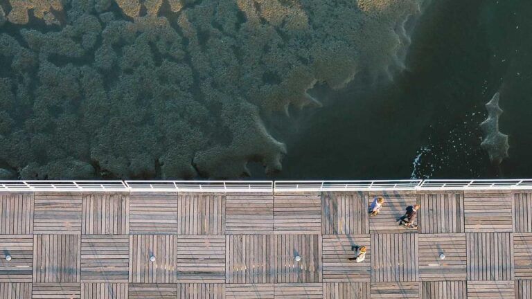 Why Is The 11Xplay Pro Pro Version Considered Premium?